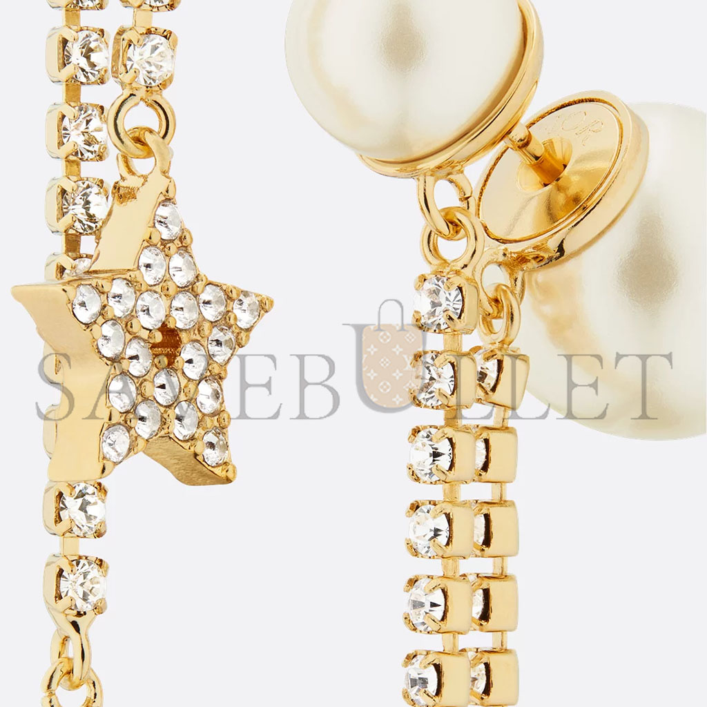 DIOR TRIBALES EARRINGS E1270TRICY_D301